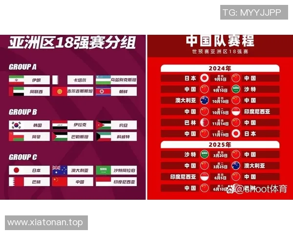 世界杯预选赛最新动态与各大球队晋级前景全面深度解析
